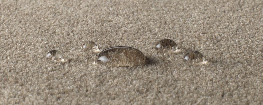 Как высушить ковер