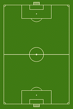 полушерстяной Футбольное поле