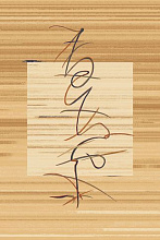 ПРИМА 2551 50635