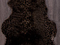 Мутон АВ LEOPARD BROWN