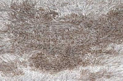 Ковер SWITZERLAND  Natural