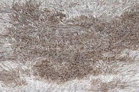 SWITZERLAND  Natural