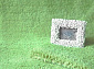 длинноворсовый Софт Шегги GREEN 