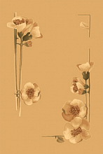 OPAL  PENELOPA sahara