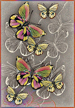 CRYSTAL NC54 MULTICOLOR