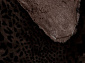 Мутон АВ LEOPARD BROWN