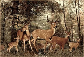 Фауна 50533 Олени