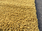 SHAGGY TREND L001 YELLOW