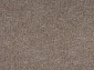 Ковровая дорожка Varegem 3m 0200 BEIGE V