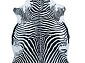 Ковер-шкура ЗЕБРА черно-белая
