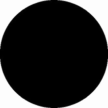 SHAGGY ULTRA s600 BLACK Круг