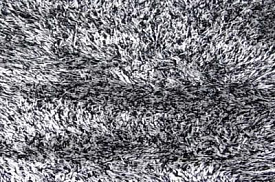 SWITZERLAND  black/white