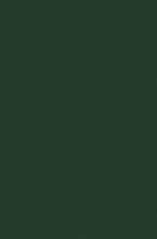 Ковровая Дорожка COLIZEY P000 GREEN