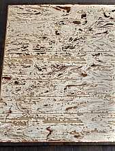 YUTA 0T335RG VIZON / VIZON