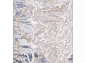 Ковровая дорожка PERU D070A D.GREY SHIRINK / BLUE FDY