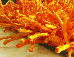 Ковер длинноворсовый Шегги TW orange