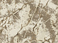 BRAVO F312 BEIGE