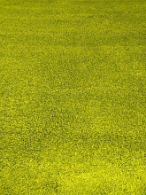 KEOPS SHAGGY B1006C GREEN / GREEN