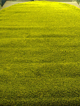 KEOPS SHAGGY 000 GREEN Овал