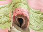 90 LINE WOOLEN HANDK-KNOTTED SHD-6 PINK