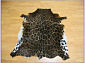 Ковер-шкура Экзотика   Леопард