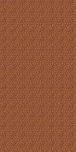 Ковер LAGUNA CS03 BROWN