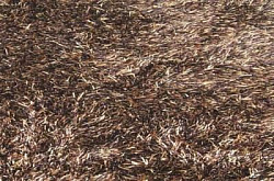 Ковер SWITZERLAND  brown 