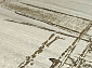 MATRIX 51248 6979 V