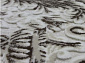 TOPKAPI 0014B BEIGE / BEIGE