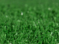 Ковровая Дорожка с искусственной травой GRASS G001 000