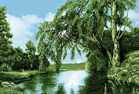 Родные просторы 0015 03