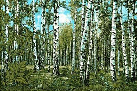 Родные просторы 0009 03