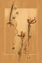 Ковер OPAL TRACJA sahara 