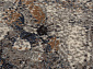 MATRIX 89813 6949 V