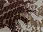 QUANTUM 03011B BROWN / BROWN Овал