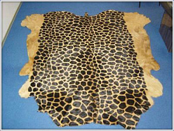 Ковер-шкура Жираф