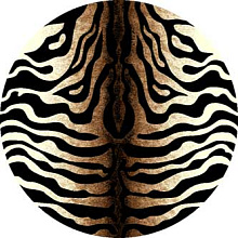 Ковер SUNRISE d053 BLACK-CREAM Круг