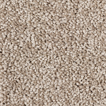 Ковровая дорожка Echo Echo 329 V