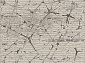ECLIPSE F184 BEIGE