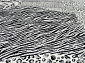 MATRIX 51217 5989 V