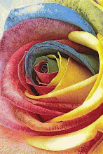 Ковер HUNNU R Роза 6A1857 175