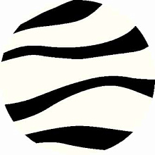 SHAGGY ULTRA s613 BONE-BLACK Круг