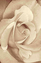 HUNNU рельефный 6A973 127S