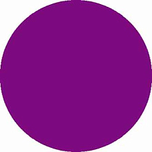 SHAGGY ULTRA S600 PURPLE Круг