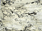 MATRIX 51250 6929 V