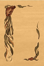 OPAL ANEMOS сахара