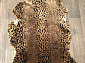 Мутон LEOPARD BROWN